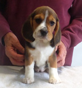 Martina Girl 3 Front 8 Weeks